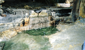 pic1