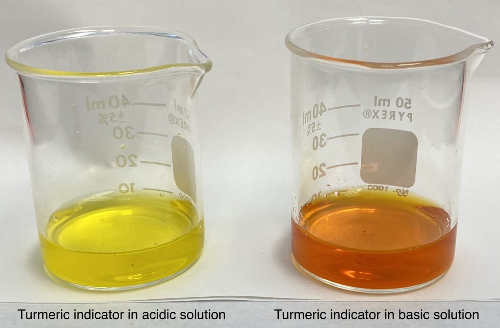 Two beakers with different colored liquids in them. The left beaker (yellow color) is an acidic solution with the turmeric indicator. The right beaker (reddish brown color) is a basic solution with the turmeric indicator.