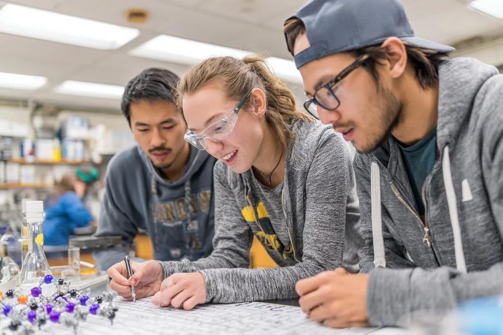 Learning Through Participation
